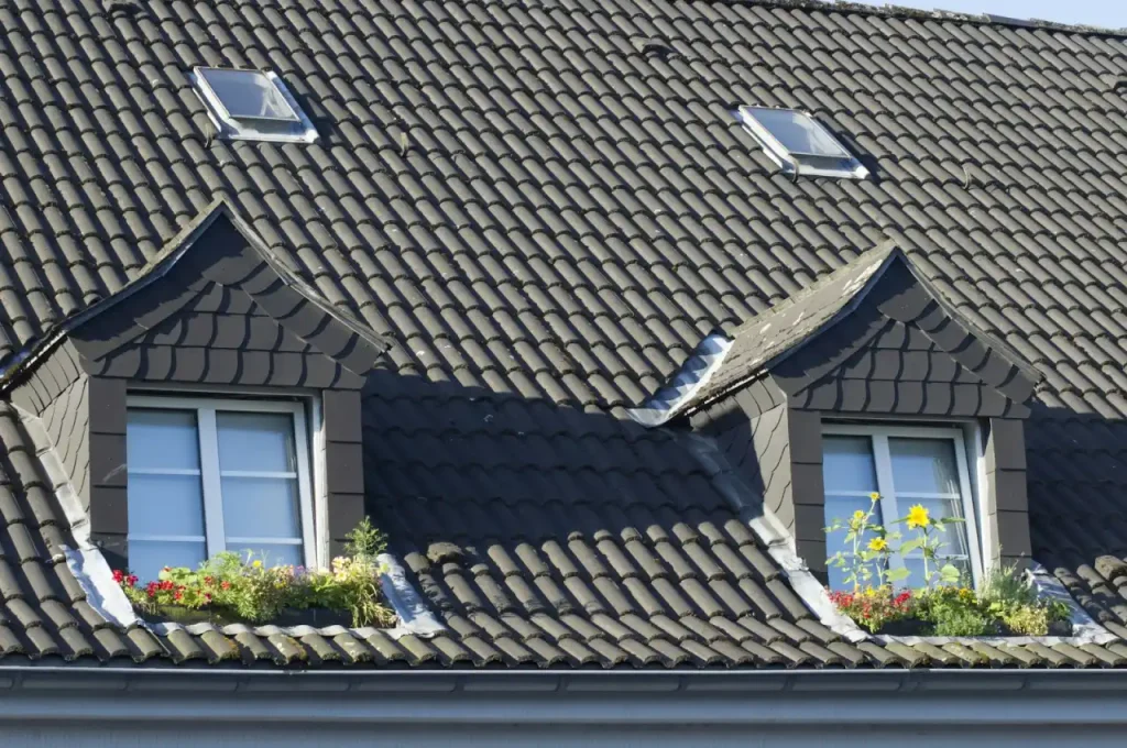 Clean roof tiles beside green foliage after algae removal