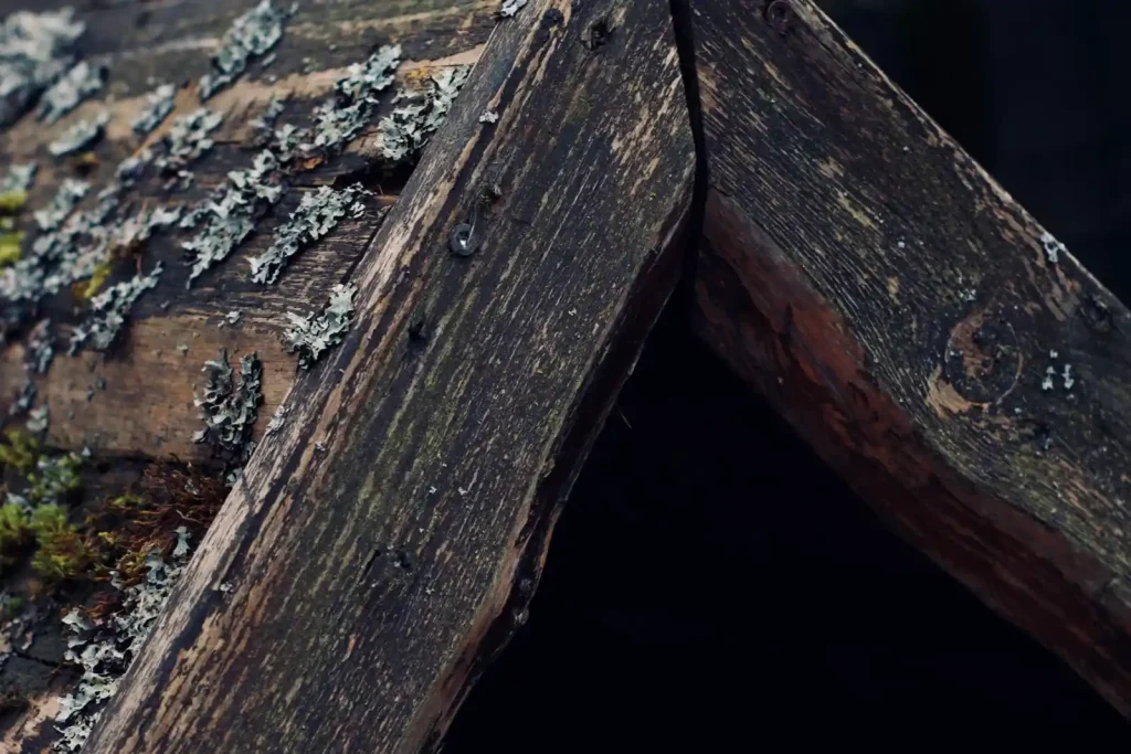Aged wooden roof covered with moss