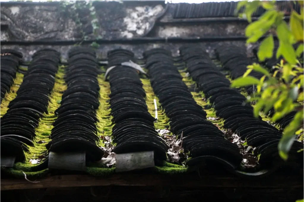 Black roof tiles with moss growth