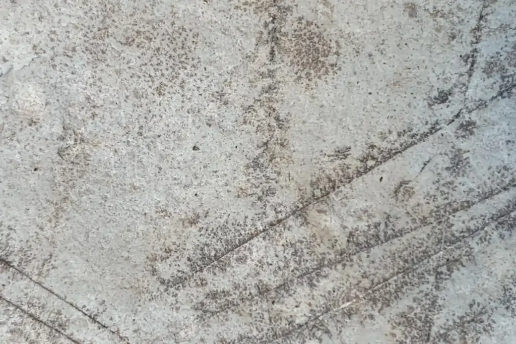 Concrete surface texture close up