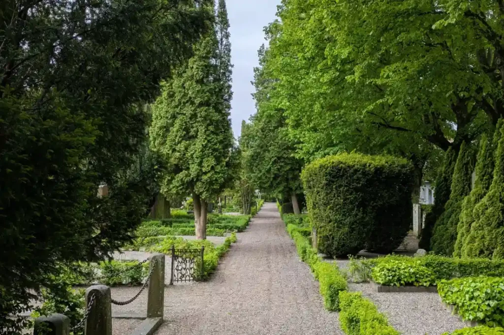 Garden path lined with hedges and trees