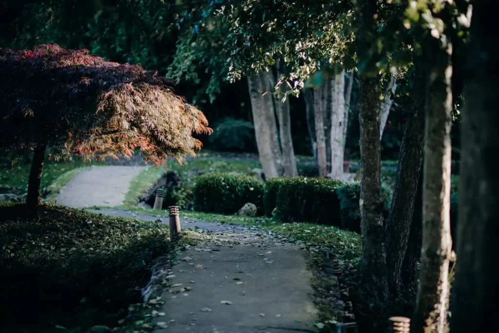 Garden path with topiary shrubs