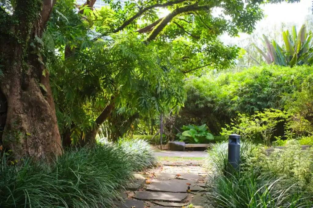 Garden with a stone pathway and greenery