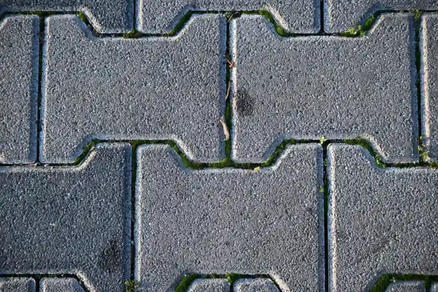 Grey brick walkway with moss growth