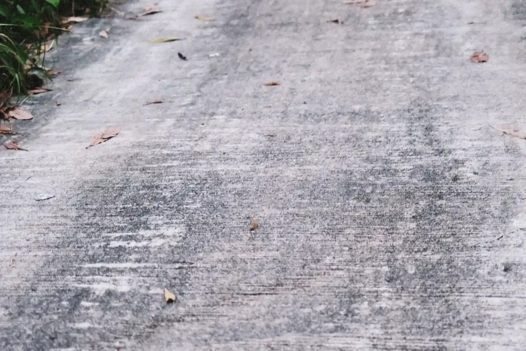 Narrow concrete path lined with planting