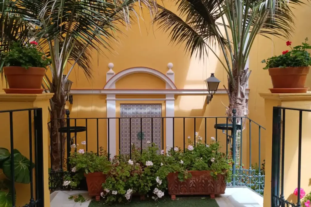 Outdoor patio area