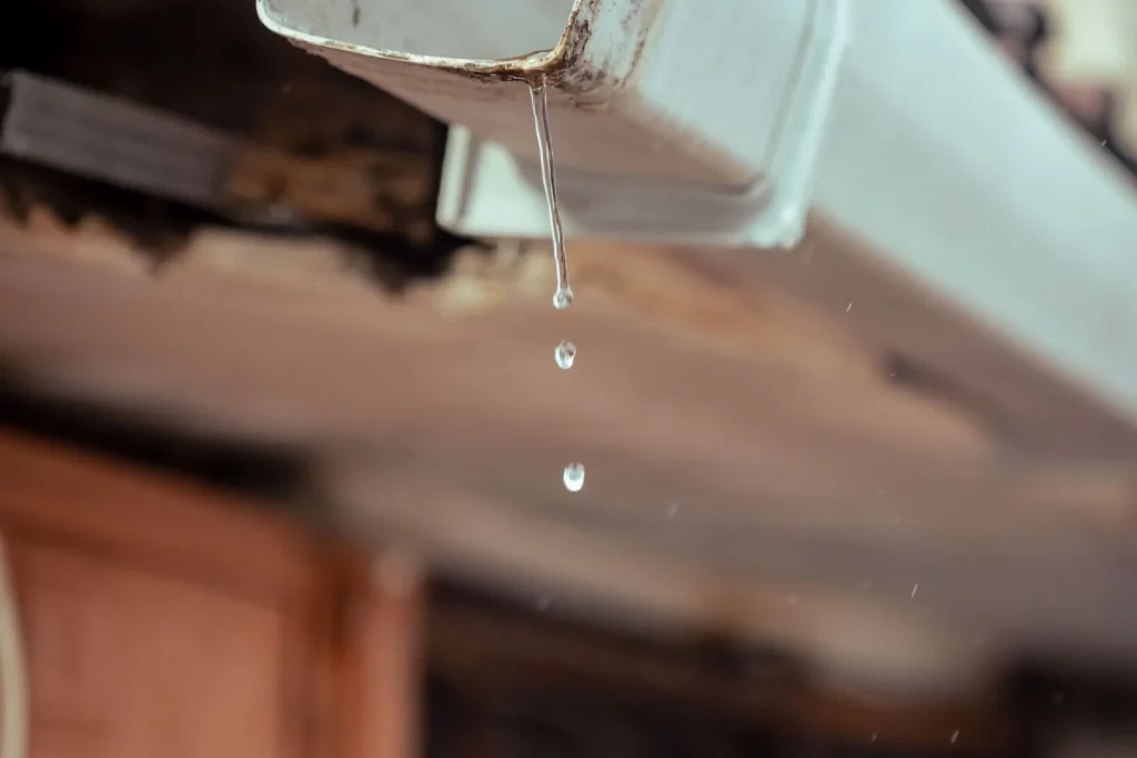 Rainwater falling from a house gutter