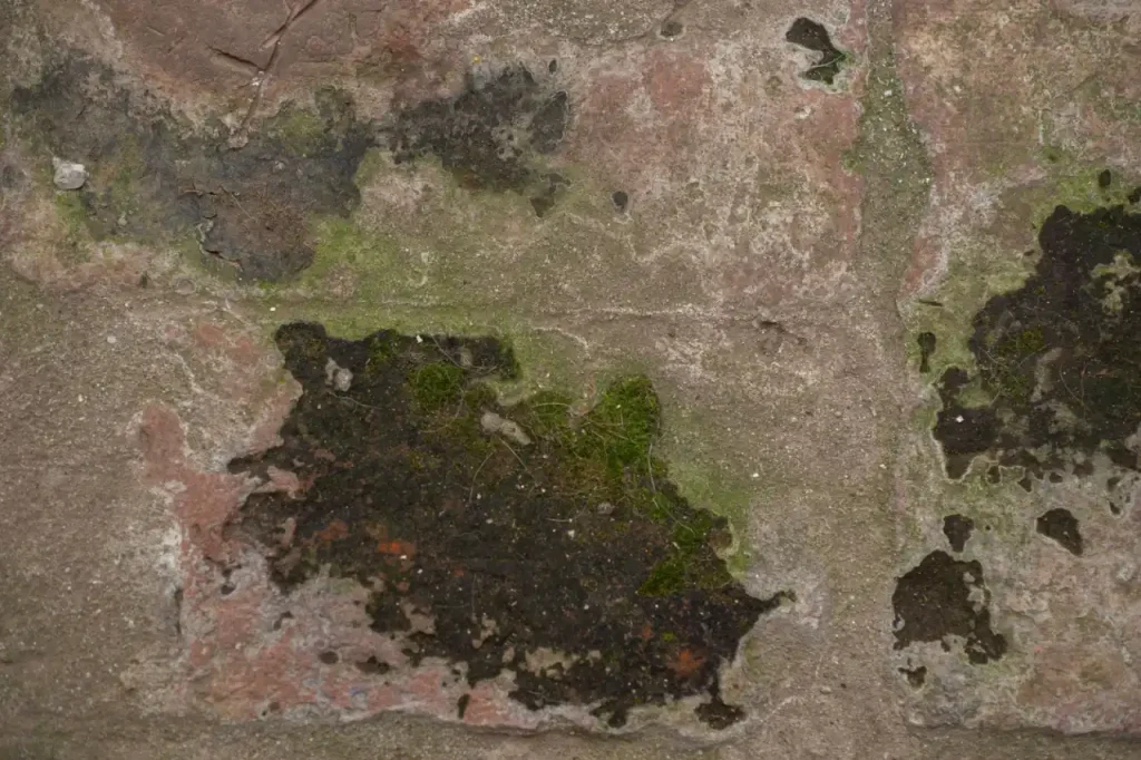 Rough wall with moss cracks and signs of decay