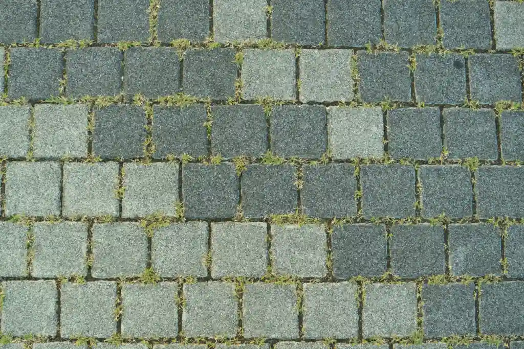Stone paved sidewalk with grass in the joints