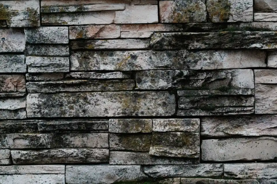 Stone wall with moss and lichen
