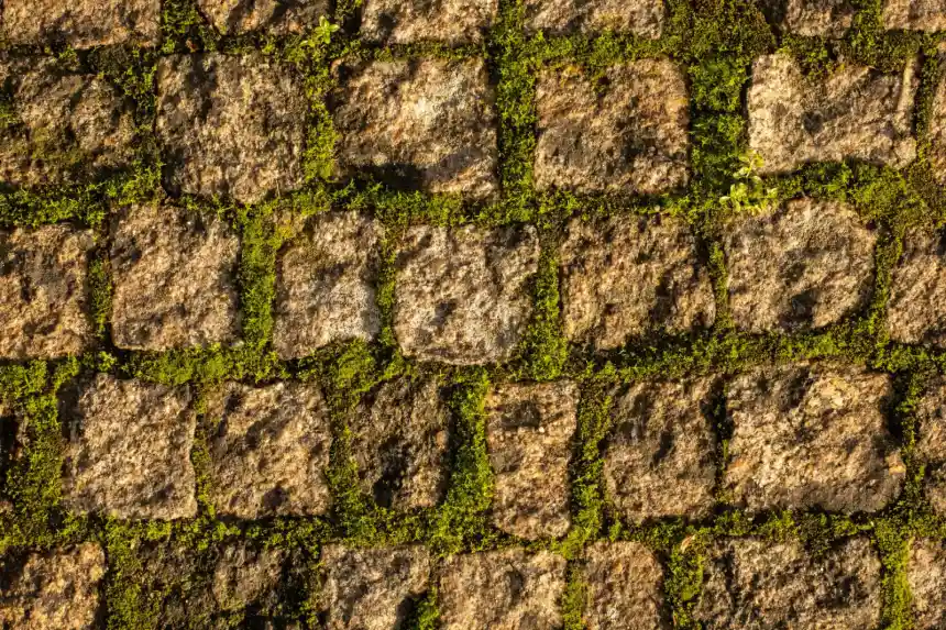 Textured stone pathway