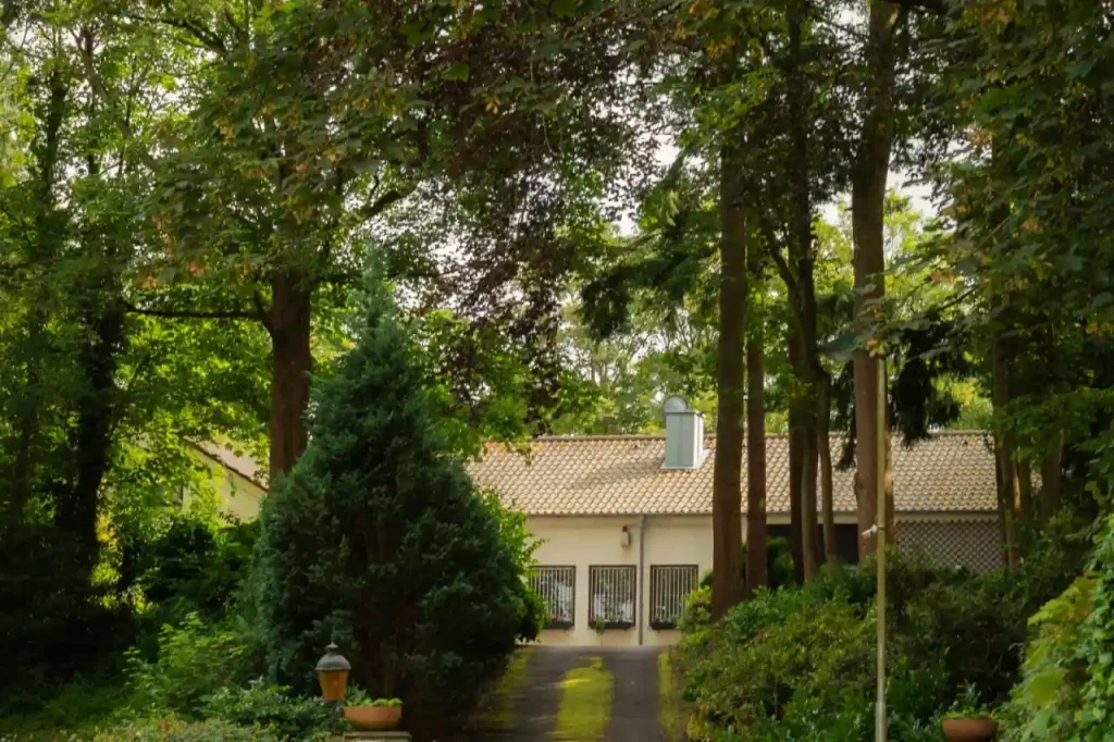 Tree lined driveway leading to a house