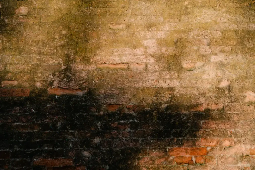Vintage brick wall with natural shadows