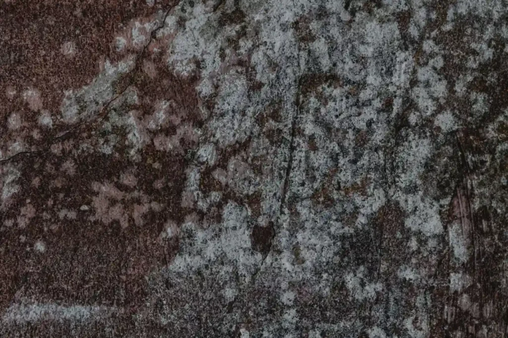Weathered concrete wall with visible cracks