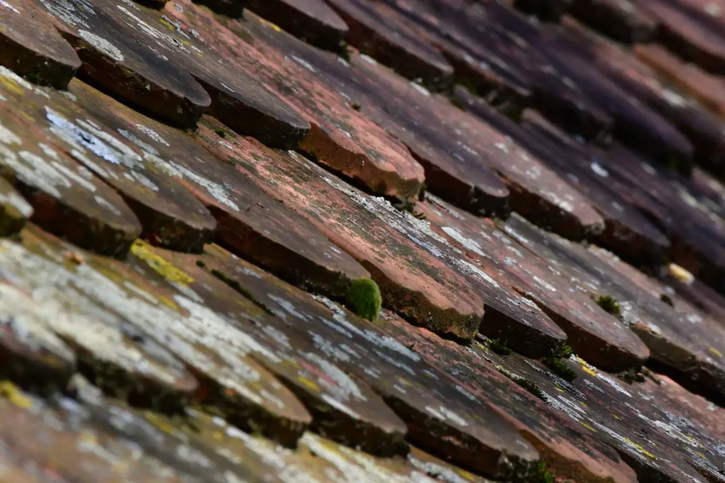 Weathered red roof tiles covered in moss